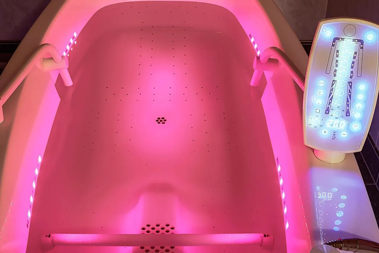 Отель Dvorak Spa & Wellness Карловы Вары