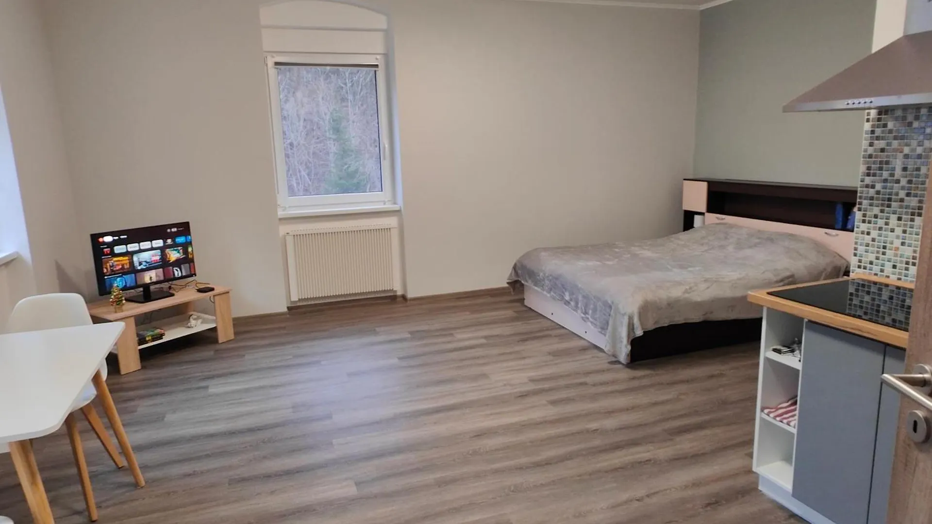 Villa Pirken Hammer Pirkenhammer Apartament