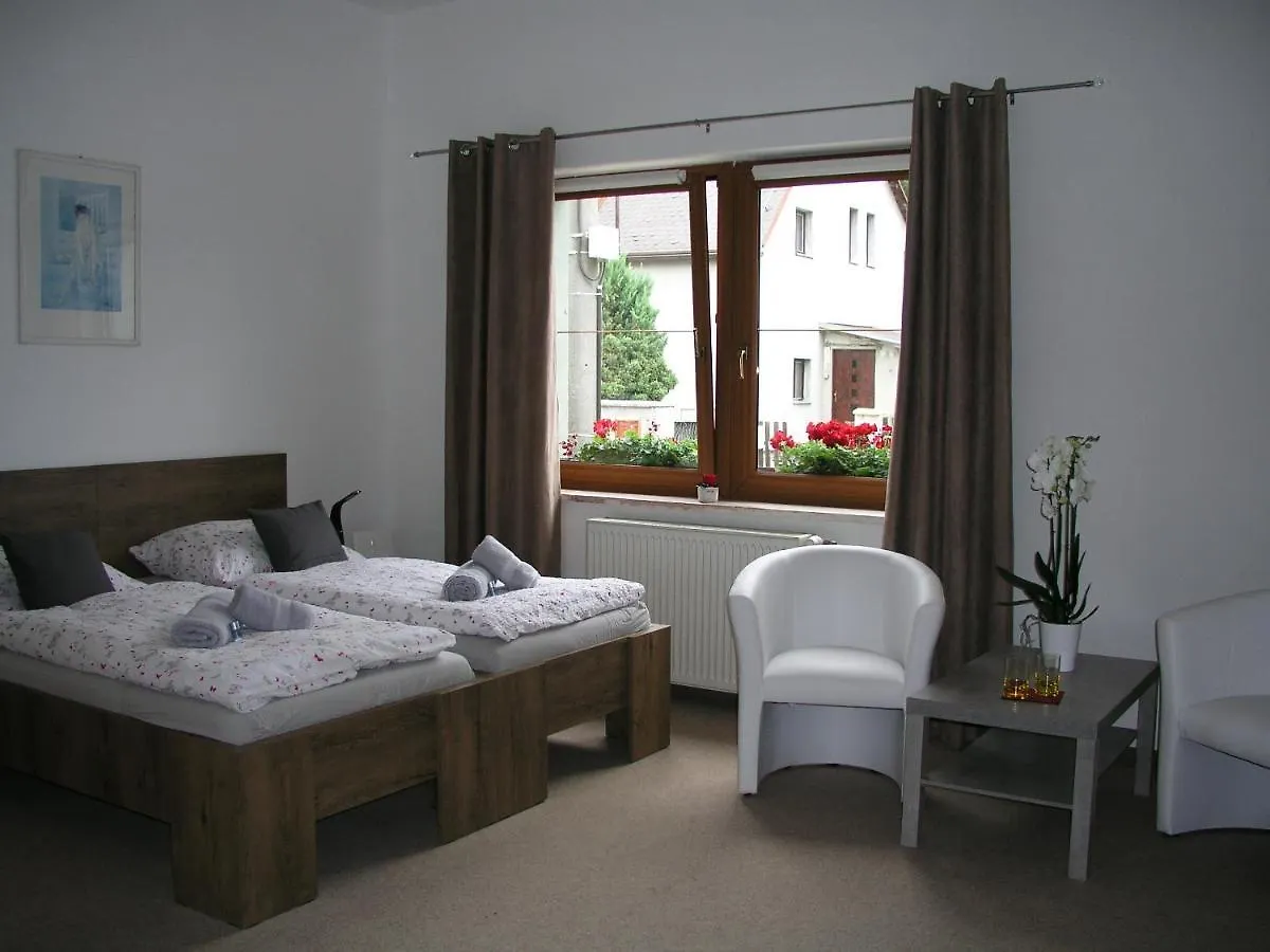 Villa Vlasta Karlsbad 4*,