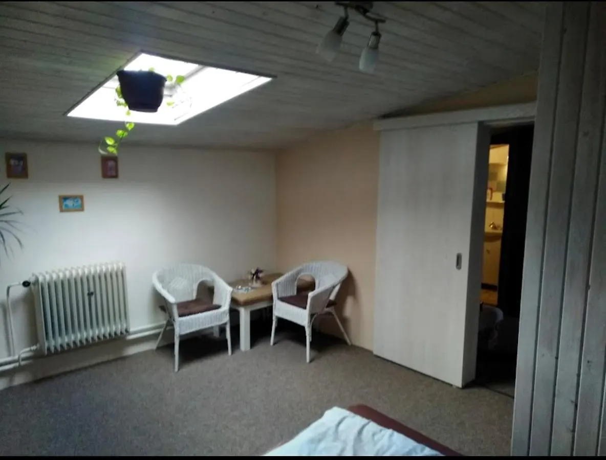 Pensjonat Hotel Zaboj Restaurant Karlowe Wary